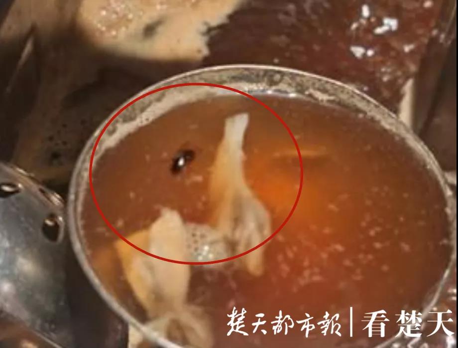 海底捞又摊上事了……顾客表示真的是太恶心了!