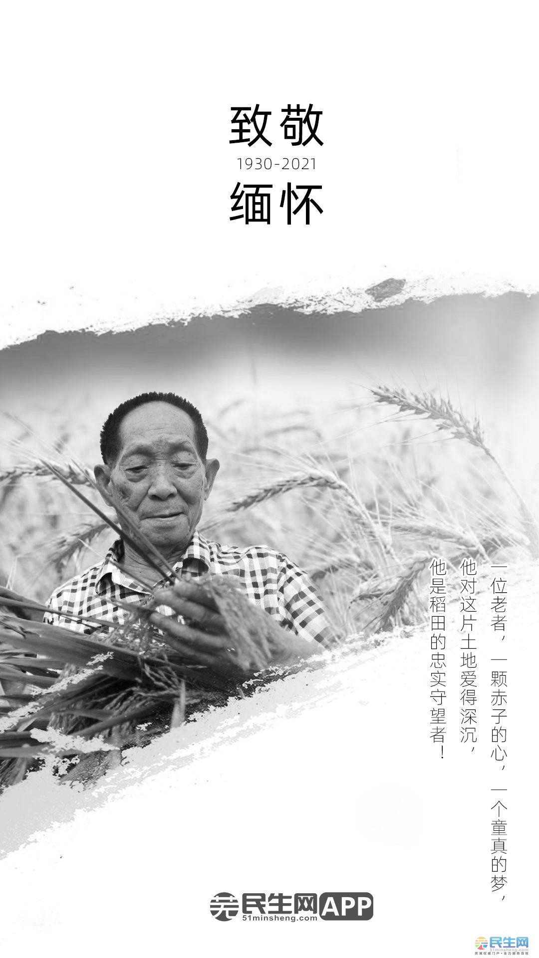 致敬缅怀!13点07分,"杂交水稻之父"袁隆平逝世,享年91