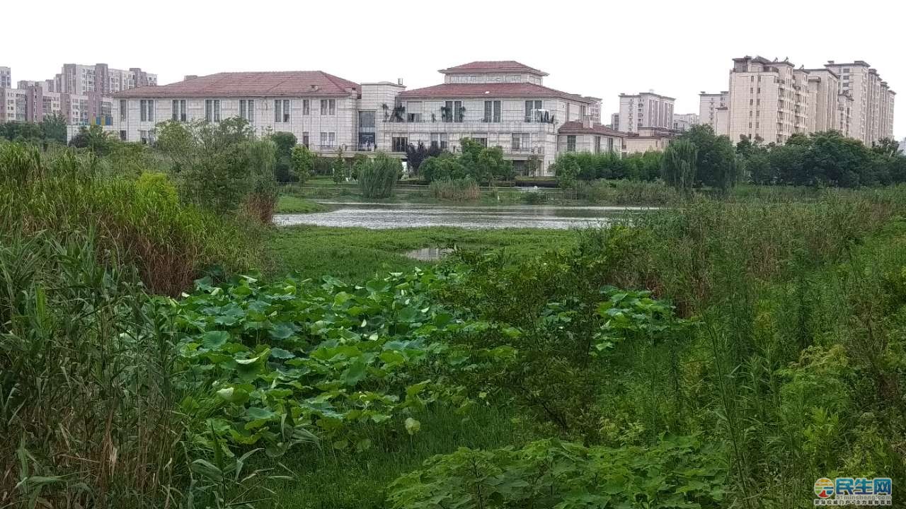 芜湖大阳垾湿地公园和玫瑰庄园