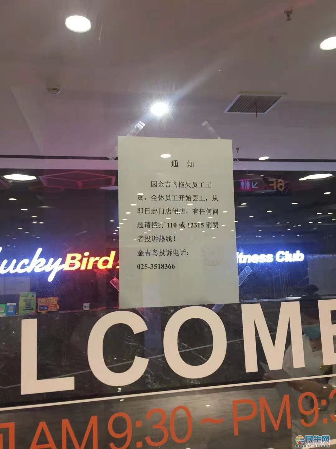 芜湖又一家金吉鸟闭店了