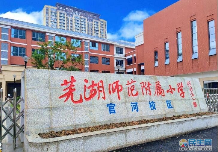 鸠兹小学,芜湖一中教育集团弋江小学,芜湖二中西洋湖校区,芜湖师范