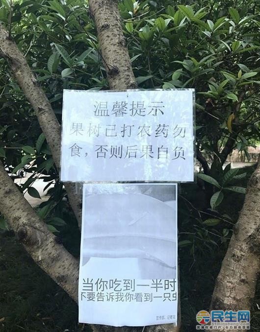 蕪湖一高校貼出這樣的標語,看了你還敢偷摘果子嗎?