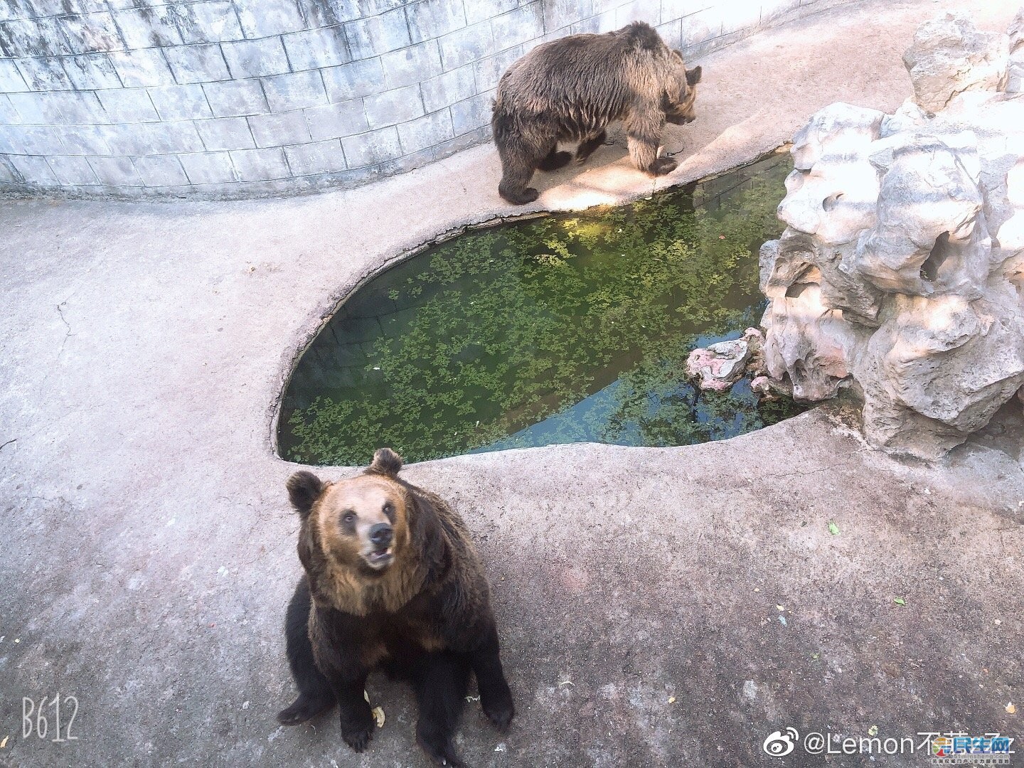 芜湖赭山公园动物园图片