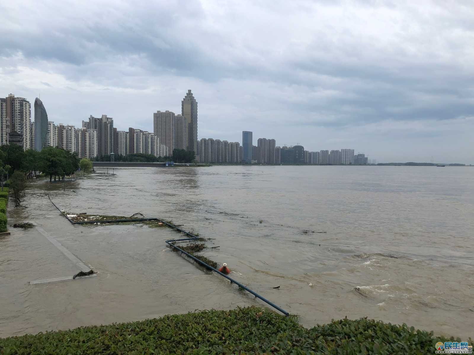 芜湖一家三口已被淹到膝盖滨江公园最新实拍水位持续上涨