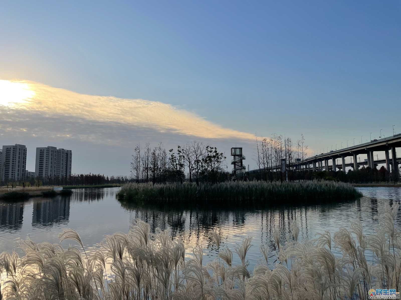芜湖西湖湿地公园图片
