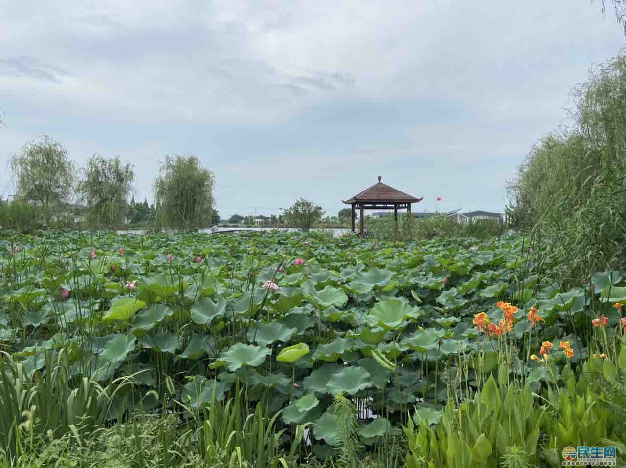 芜湖六郎官巷简介图片