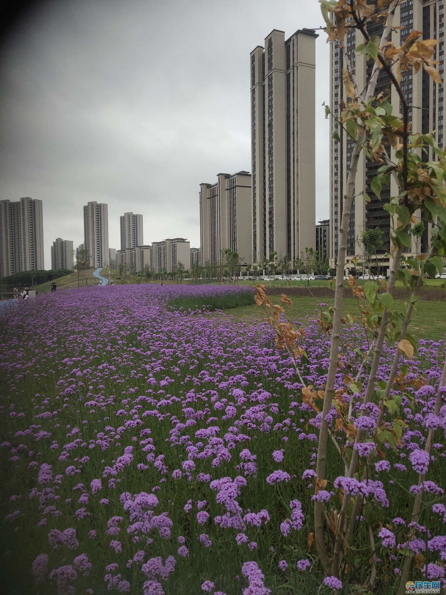 芜湖元亩塘一期效果图图片