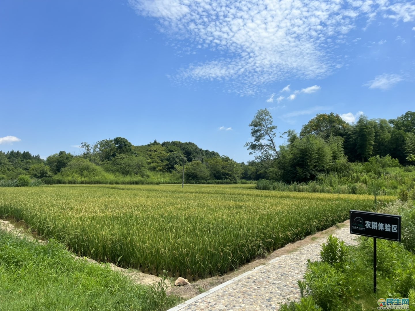 深山中美麗的灣沚珩琅山玫瑰谷小鎮 - 民生茶座 - 蕪湖民生網 - 蕪湖